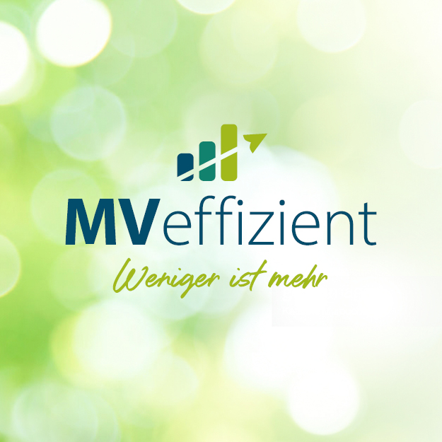 (c) Mv-effizient.de